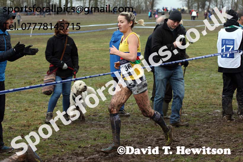 Senior womens 2018 British Inter Counties Cross Country Champs., Prestwold Hall, Loughborough. Photo: David T. Hewitson/Sports for All Pics